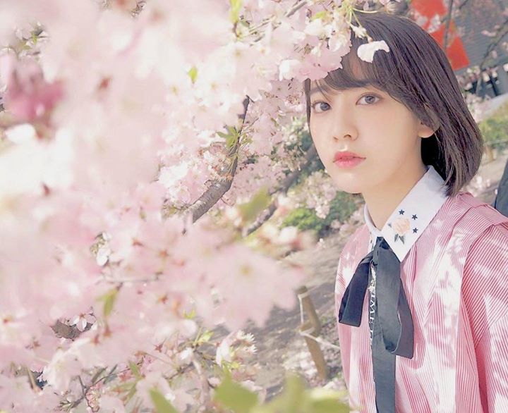 Miyawaki Sakura sinh năm 1998 được chọn là center đầu tiên của show sống còn “Produce48”. Cô là đội phó của Team KIV thuộc HKT48, đồng thời là thành viên của Team A thuộc AKB48.