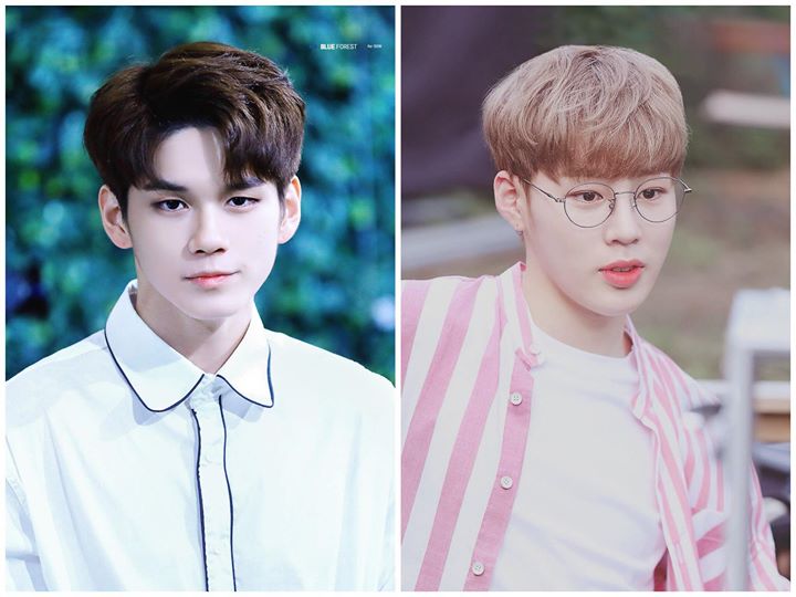 Wanna One Ong Seong Wu và Ha Sung Woon xác nhận gia nhập đoàn “Law of the Jungle” đi đảo Sabah, Malaysia cùng Yoon Si Yoon, SHINHWA Eric, Min Woo, Andy và nữ diễn viên Lee Da Hee. Ghi hình tháng 5, phát sóng tháng 7 năm nay.