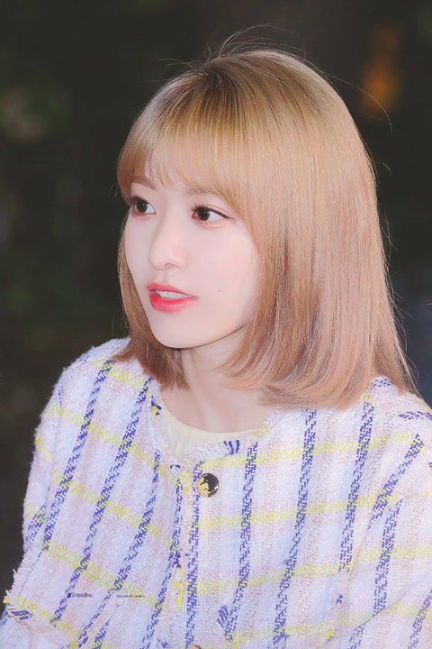 Instiz: Cảnh kết của IZ*ONE Sakura hôm nay