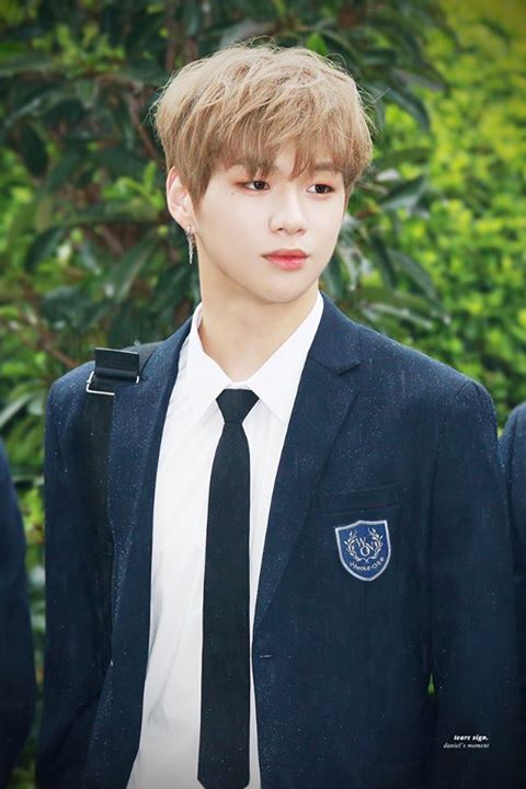 [Pann] Không cơ mà Kang Daniel làm sao đấy?