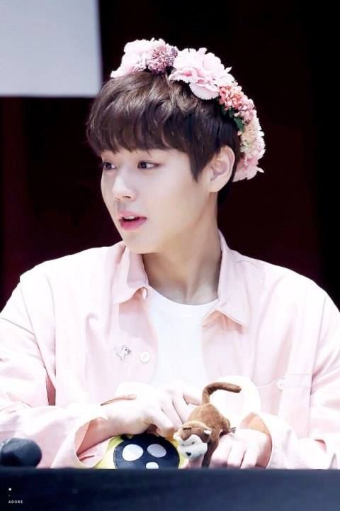 Pann: Park Jihoon đứng hạng ba về mặt ngoại hình trong Wanna One