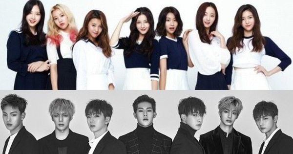 Cộng đồng fan Kpop xôn xao trước thông tin Momoland và Monstar X cùng đổ bộ Việt Nam vào 31/8