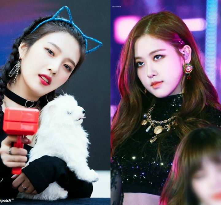 Pann: Khi fangirl Joy thể hiện tình cảm với idol Rose