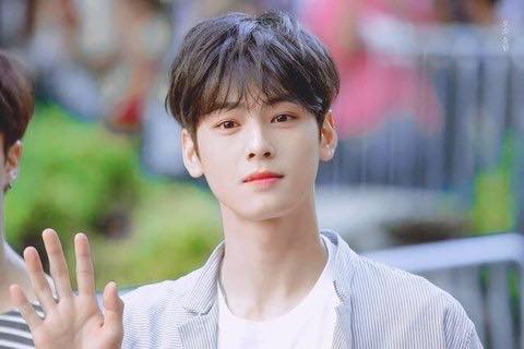 Pann: Chẳng phải visual của Cha Eunwoo được khen ngợi quá nhiều rồi hả?