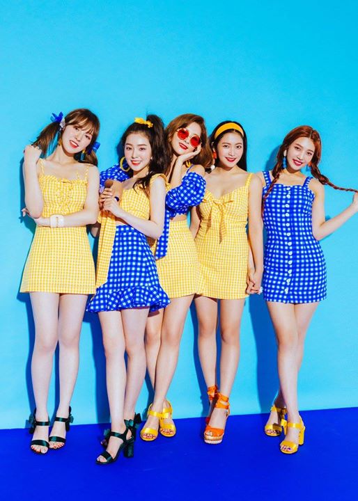 Pann: Các mẹ thấy bài mới của Red Velvet thế nào?