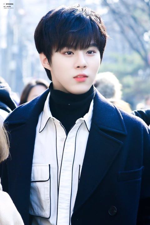 Pann: Các thành viên X1 miêu tả Kim Wooseok như thế nào