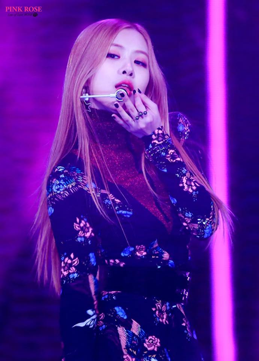 Pann: Black Pink Rose làm gì đấy?