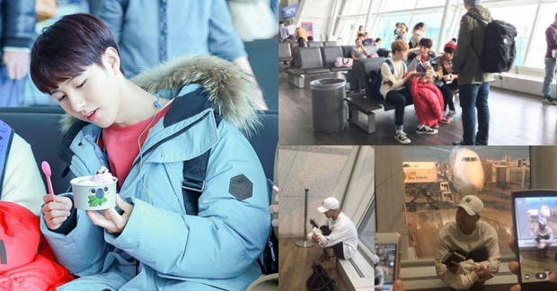 Netizen so sánh "Idol như động vật trong sở thú"
