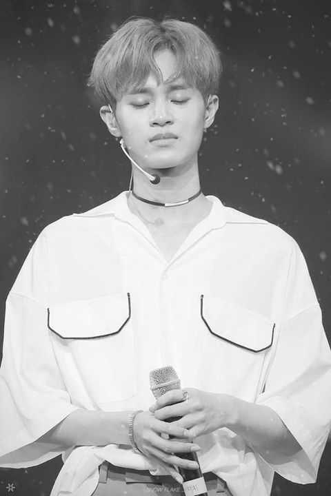 Pann: Nhìn Lee Daehwi trước mộ cha ở Nhật buồn thật đấy