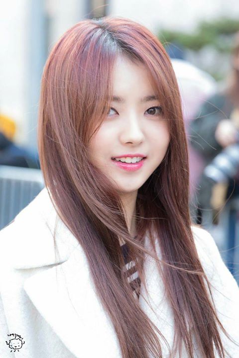 Pann: Im Nayoung phải l&agrave;m sao đ&acirc;y 