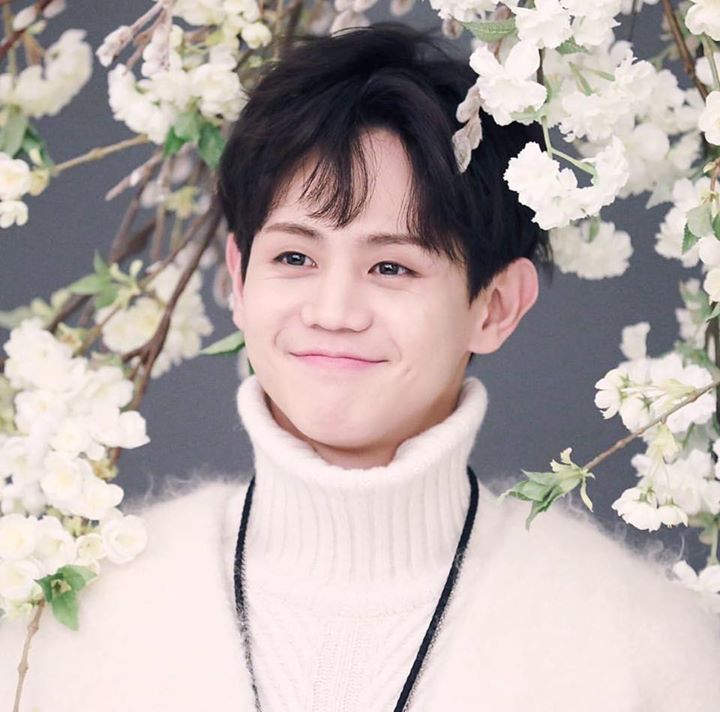 Yang Yoseob cho rằng không nên hỏi về việc hẹn hò của idol