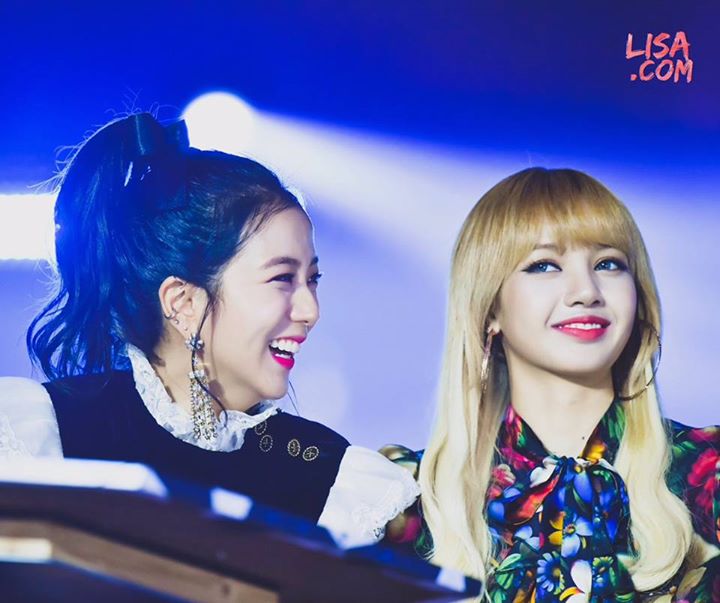 [Pann] Hành động Jisoo và Lisa làm mỗi khi hai mẻ chạm mắt