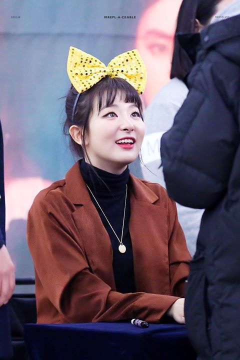 Pann: Ánh mắt ấm áp của Seulgi khi nhìn fan