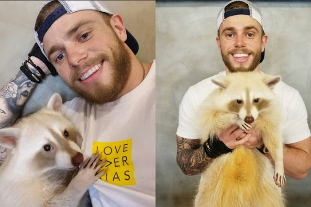 Instiz: Vận động vi&ecirc;n nước ngo&agrave;i ph&aacute;t cuồng qu&aacute;n c&agrave; ph&ecirc; chồn của H&agrave;n Quốc  