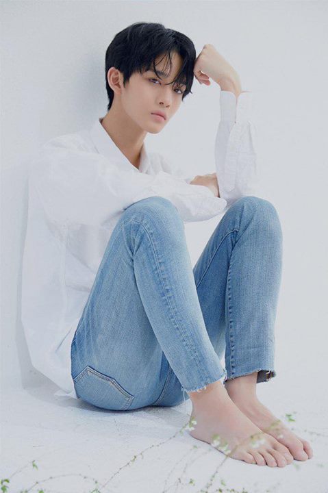 Wanna One Bae Jin Young sẽ tái debut cùng boygroup C9 Boyz của C9 Entertainment vào nửa sau năm 2019