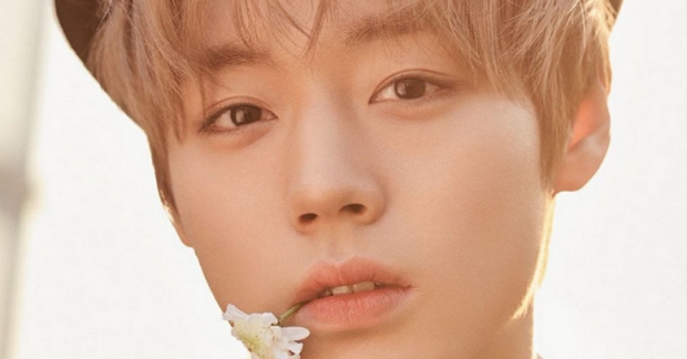 Park Jihoon trải lòng trên tạp chí Singles: "Dù là 10 hay 20 cơ hội đi nữa, tôi vẫn muốn được tái hợp cùng Wanna One" 