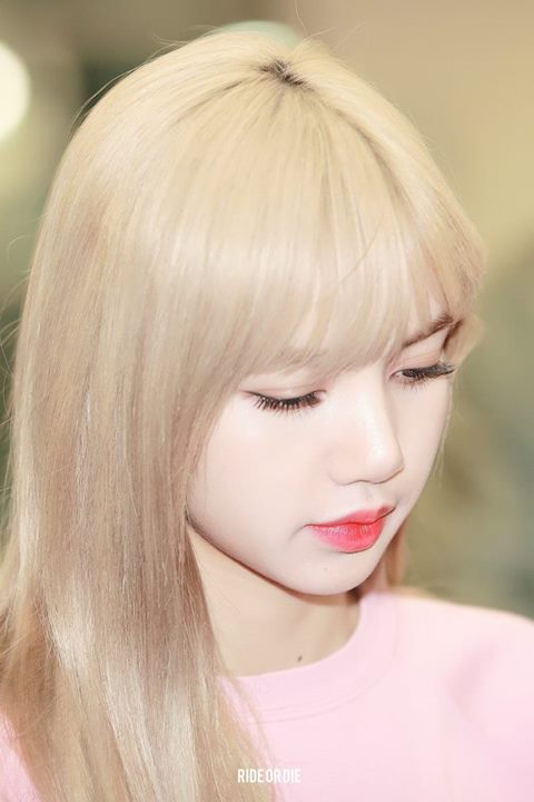 Pann: Đây là Black Pink Lisa đúng không?