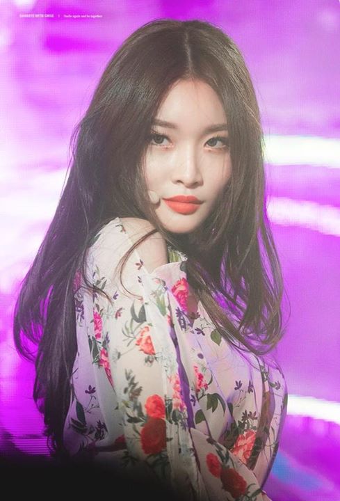 Pann: Vì Chungha thành công với tư cách ca sĩ solo, Wanna One...