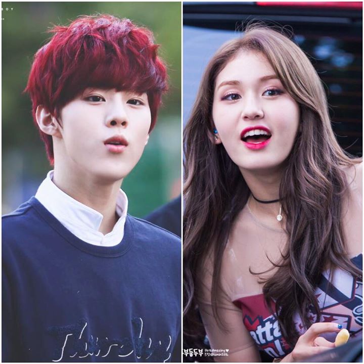 News: I.O.I Somi và UP10TION Wooshin sẽ là MC cố định của SBS MTV 'The Show' bắt đầu từ ngày 11/10