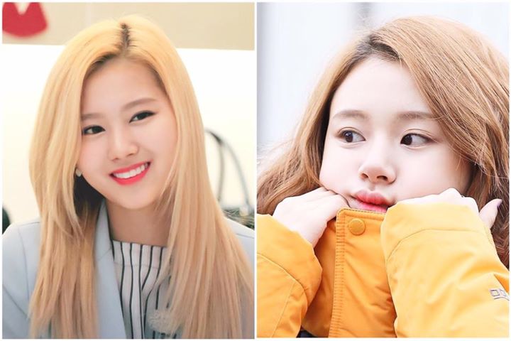 News: Một fan của TWICE Sana đã vinh danh cô khi ủng hộ 2 triệu won (khoảng 1700 đô) cho Quỹ Bạch Cầu Hàn Quốc