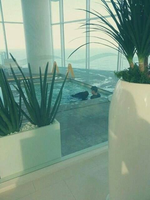 Pann: Các chế đã xem ảnh Kai với Krystal ở bể bơi của khách sạn chưa?