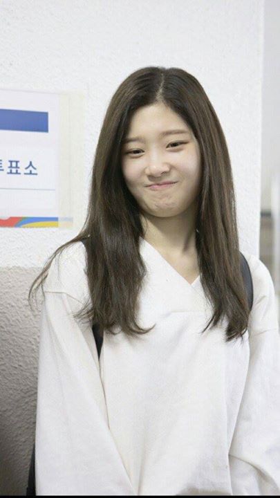 Bài báo:  IOI Jung Chaeyeon đi bầu cử nhưng... đã có chuyện gì vậy? 