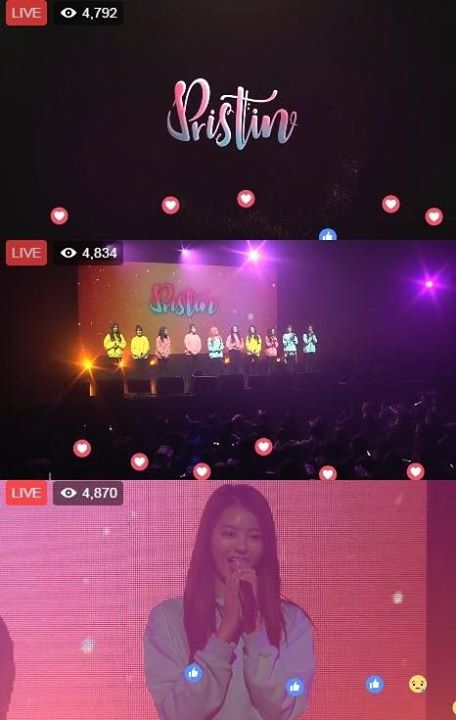 Bài báo: Pledis Girlz, tên của nhóm nhạc mới là Pristine... tiết lộ tại concert