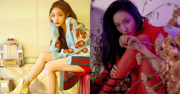 Sunmi và Chungha đồng loạt khởi đầu suôn sẻ trong top 10 bằng những sản phẩm mới: BXH Instiz tuần 3 tháng 1