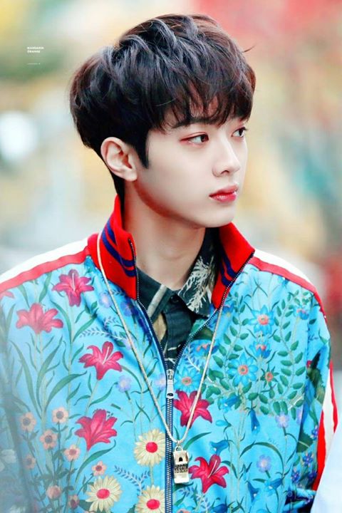 Instiz: Lai Guan Lin lên báo chỉ vì mặc một chiếc áo khoác in hoa của Gucci