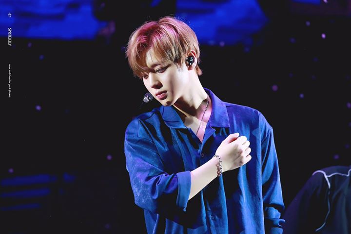 Pann: Chẳng phải gif này trông Park Jihoon xao xuyến quá sao?