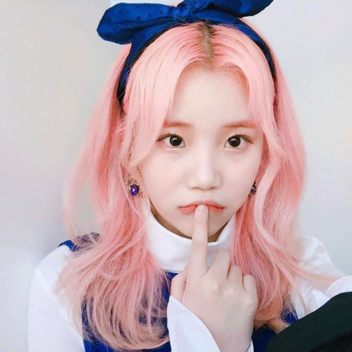 Pann: Hiệu ứng bươm bướm của Momoland m&agrave; Hong Jin Young kh&ocirc;ng thể tưởng tượng nổi  