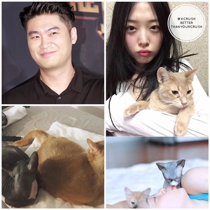 Choiza đăng ảnh 2 con mèo lên Instagram, lập tức bùng suy đoán "Đây là mèo của Sulli??" "Rõ ràng đôi này quay lại với nhau!!" Choiza phản hồi với báo chí: "Không đúng sự thật. Tôi không nghĩ là mình có khả năng quay lại với Sulli. Sự hiểu lầm này thật khó