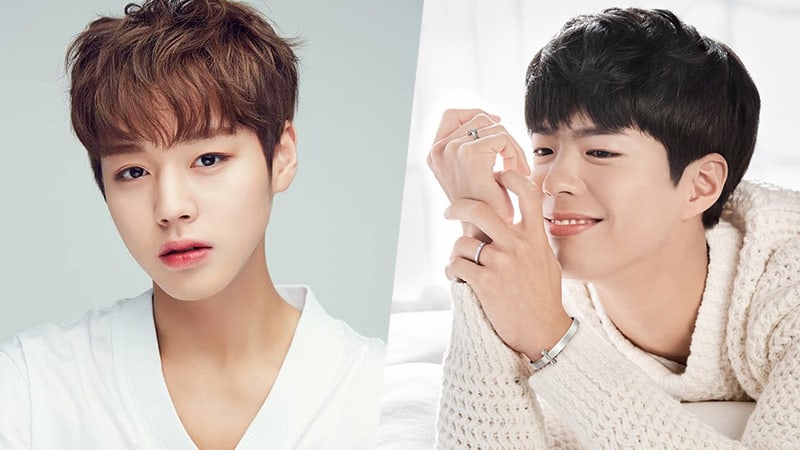 Park Ji Hoon (Wanna One) v&agrave; Park Bo Gum được b&igrave;nh chọn l&agrave; 2 nghệ sĩ l&yacute; tưởng nhất để c&ugrave;ng nhau thực hiện kỳ nghỉ h&egrave;