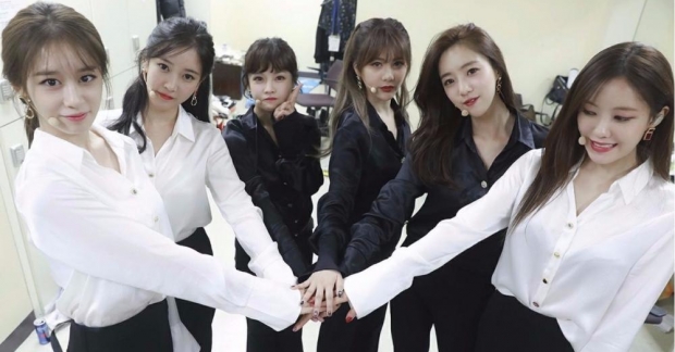 Hoa hướng dương vàng rực mạng xã hội mừng kỷ niệm 8 năm T-ara debut