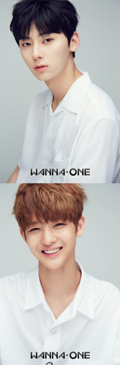 Bài báo: "Những chàng trai đẹp như hoa trong một màu trắng tuyền" Wanna One tiết lộ hình cá nhân chính thức thứ hai