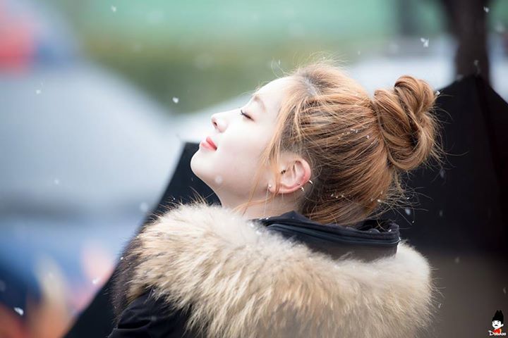 Pann: Idol là chuyên gia về khoản búi tóc.gif  