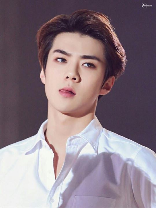 Pann: Khoảng cách giữa lông mày của EXO Sehun đúng là lý tưởng