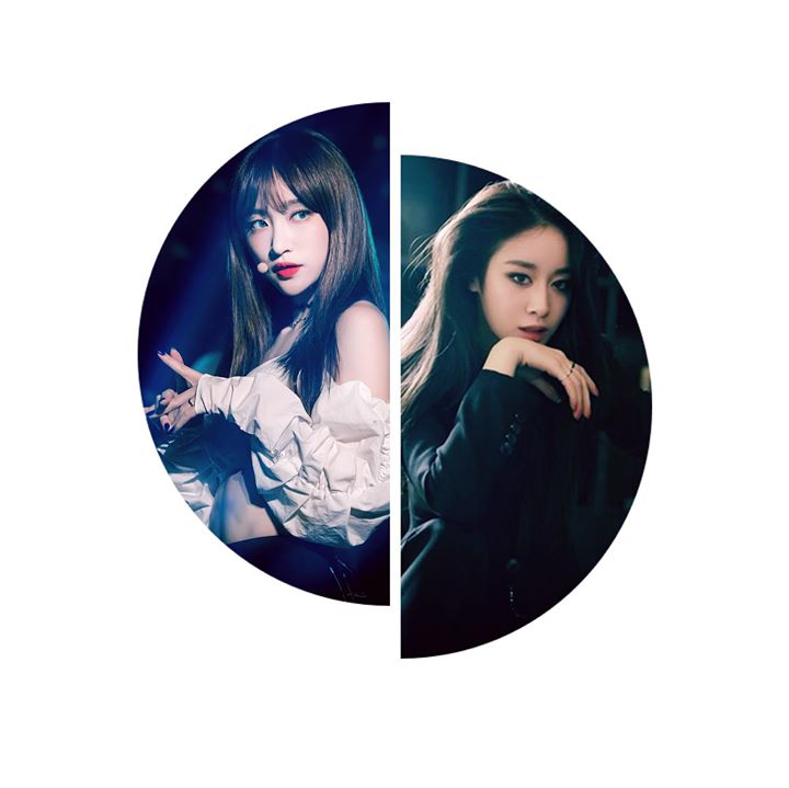 Rumor: T-Ara Jiyeon và EXID Hani sẽ kết hợp biểu diễn “Trouble Maker” ngày 31/7 ở Nhà hát Hòa Bình