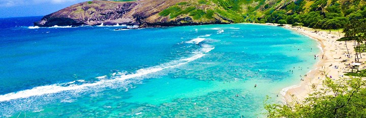Bài báo: Kem chống nắng bị cấm tại các bãi biển ở Hawaii... "để bảo vệ các sinh vật biển"