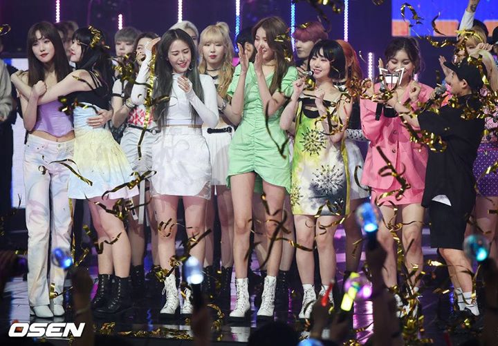 GFRIEND đã thắng cúp Show Champion tuần này trước EXO D.O., Red Velvet, (G)I-DLE và Chungha 