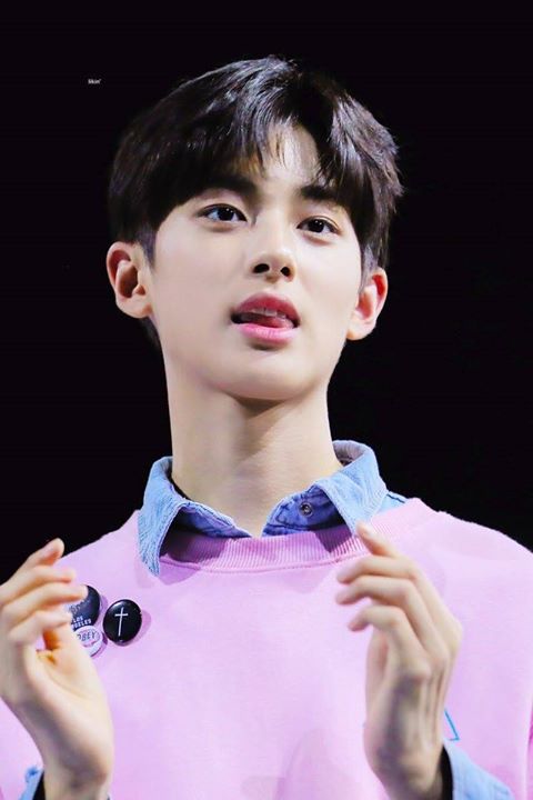 Pann: Nhưng Kim Mingyu cũng là pick của PD mà