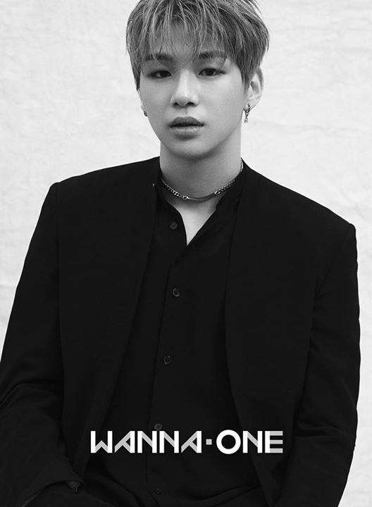 WANNA ONE tung ảnh profile c&aacute;c th&agrave;nh vi&ecirc;n