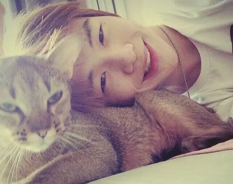 Các fan hào phóng của  thí sinh Kang Daniel (Produce 101 Season 2) tiếp tục ủng hộ cho quỹ bảo vệ động vật