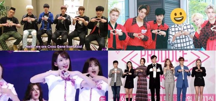 Pann: Produce 48 đã ăn trộm logo của chúng tôi 