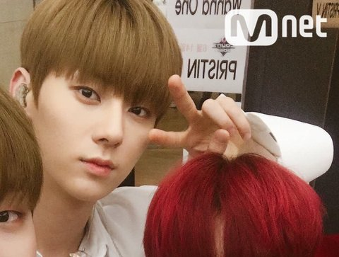 Pann: Pristin và Wanna One dùng chung phòng chờ 