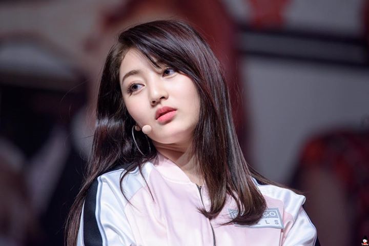 TWICE Jihyo ngưng các hoạt động cùng nhóm vì dính chấn thương đầu gối