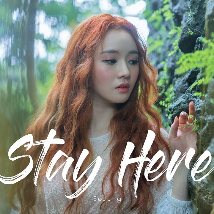 LADIES’ CODE Sojung comeback solo với ca khúc “STAY HERE” ☘️ M/V : youtu.be/iqvE86-kbCA