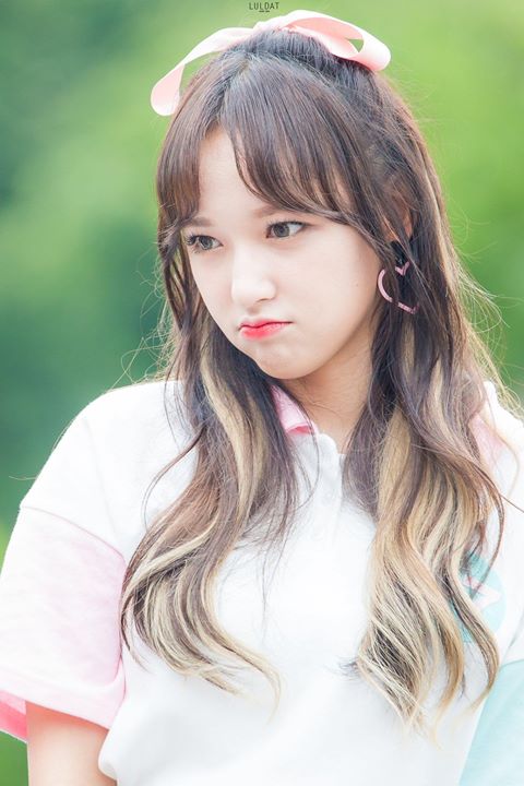 Quá mệt mỏi vì lịch trình bận rộn, Cosmic Girls Cheng Xiao lên Weibo than phiền về công ty quản lý