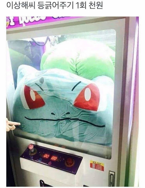 [instiz] 1000 Won một lần thử gãi lưng cho Bulbasaur