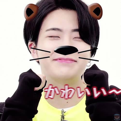 Pann: Idol fanboy con vật đại diện của m&igrave;nh  